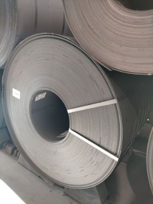 Immagine di 2304169781